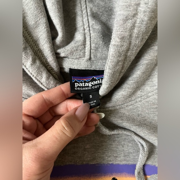 Patagonia Free Hand Fitz Roy Ahnya Hoodie in gray - Picture 10 of 13